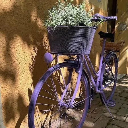 La Casa Di Anna شقة Torricella (Magione)