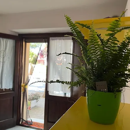شقة La Casa Di Anna *